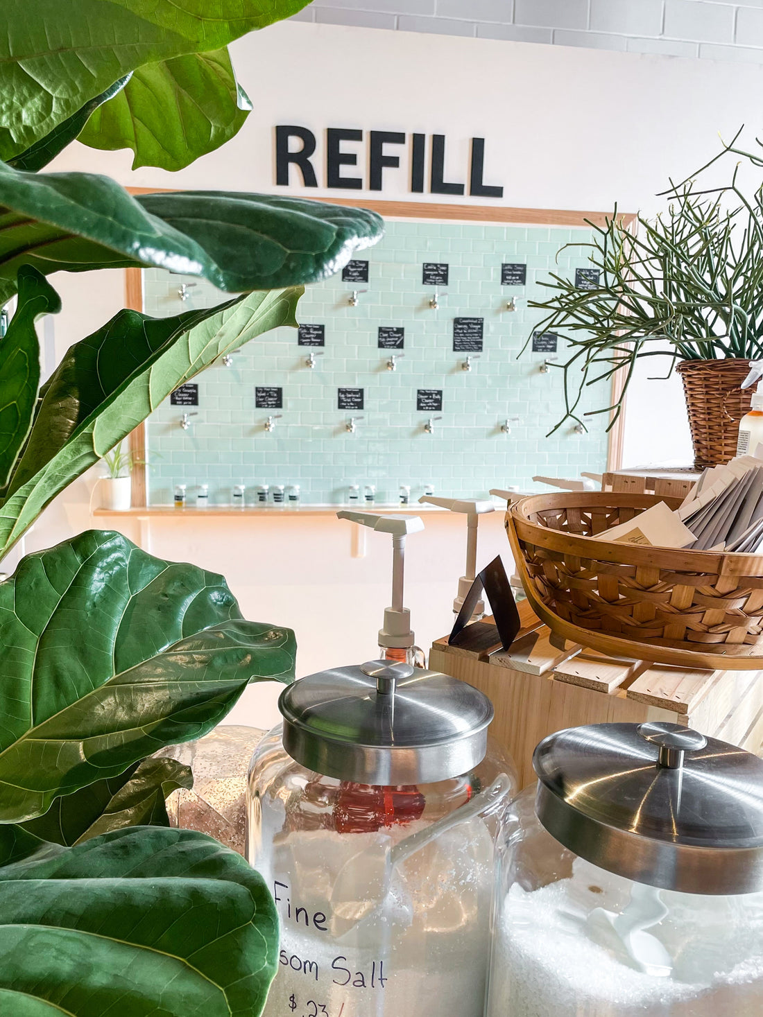 Ren Market Reflections