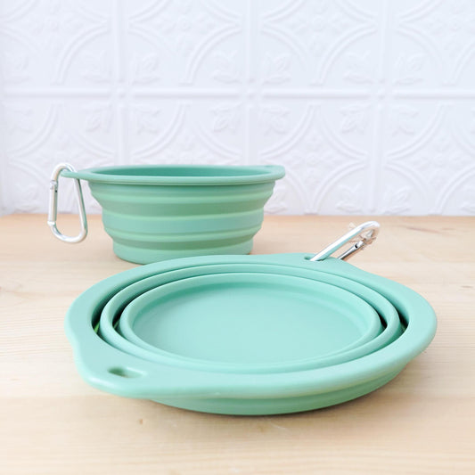 Collapsible Dog Bowl