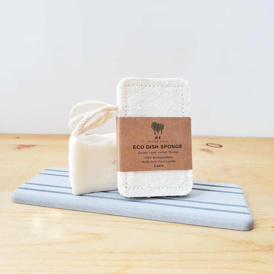 Eco Dish Sponge