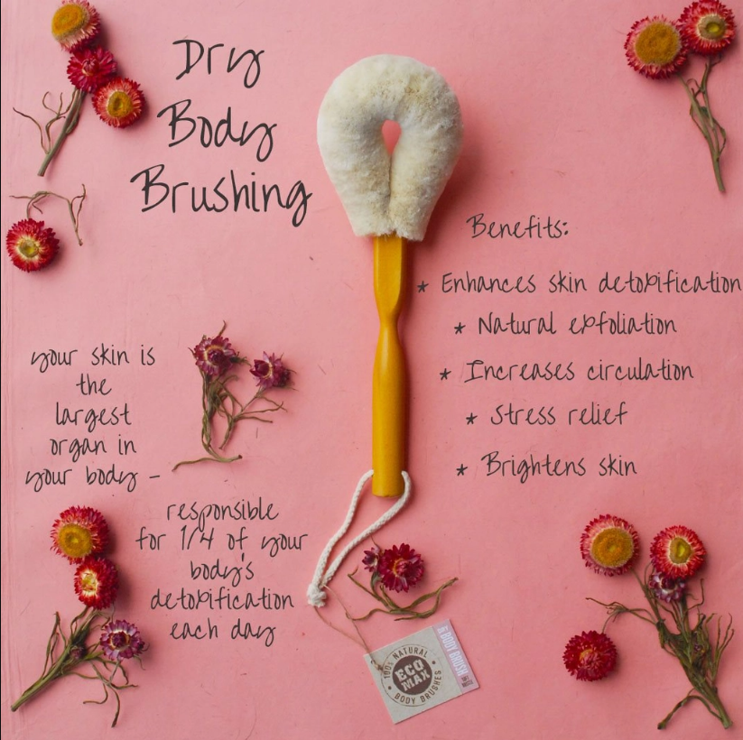 Dry Body Brush