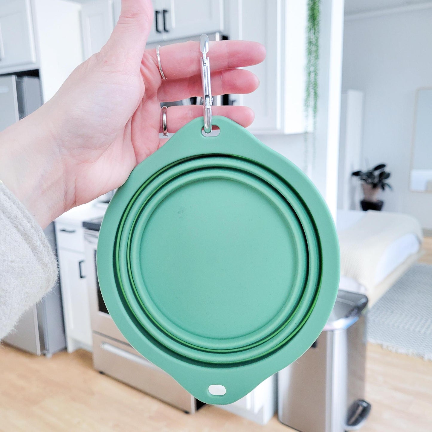 Collapsible Dog Bowl