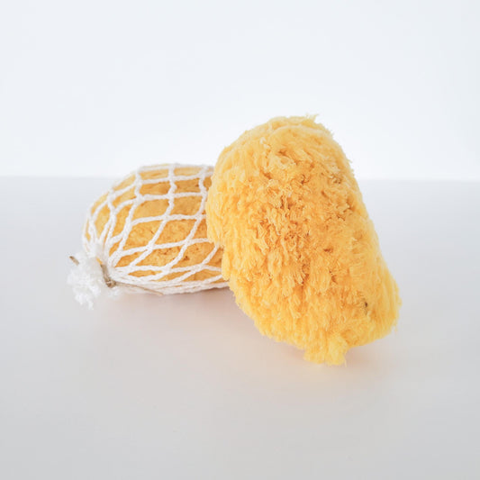 Natural Sea Sponge