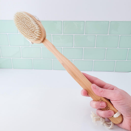 Dry/Wet Long Handle Body Brush