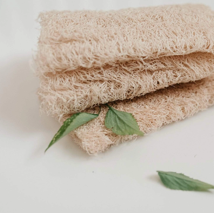 Loofah Sponge - Flat