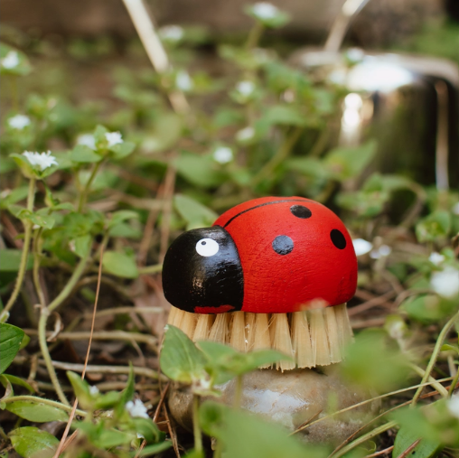 Ladybug Brush