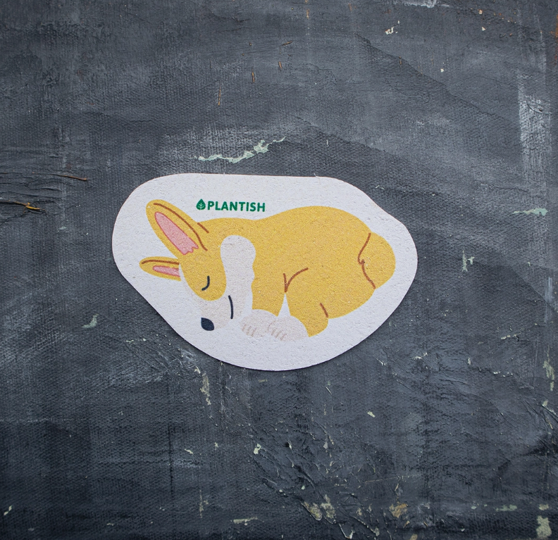 Plantish Pop Up Sponge