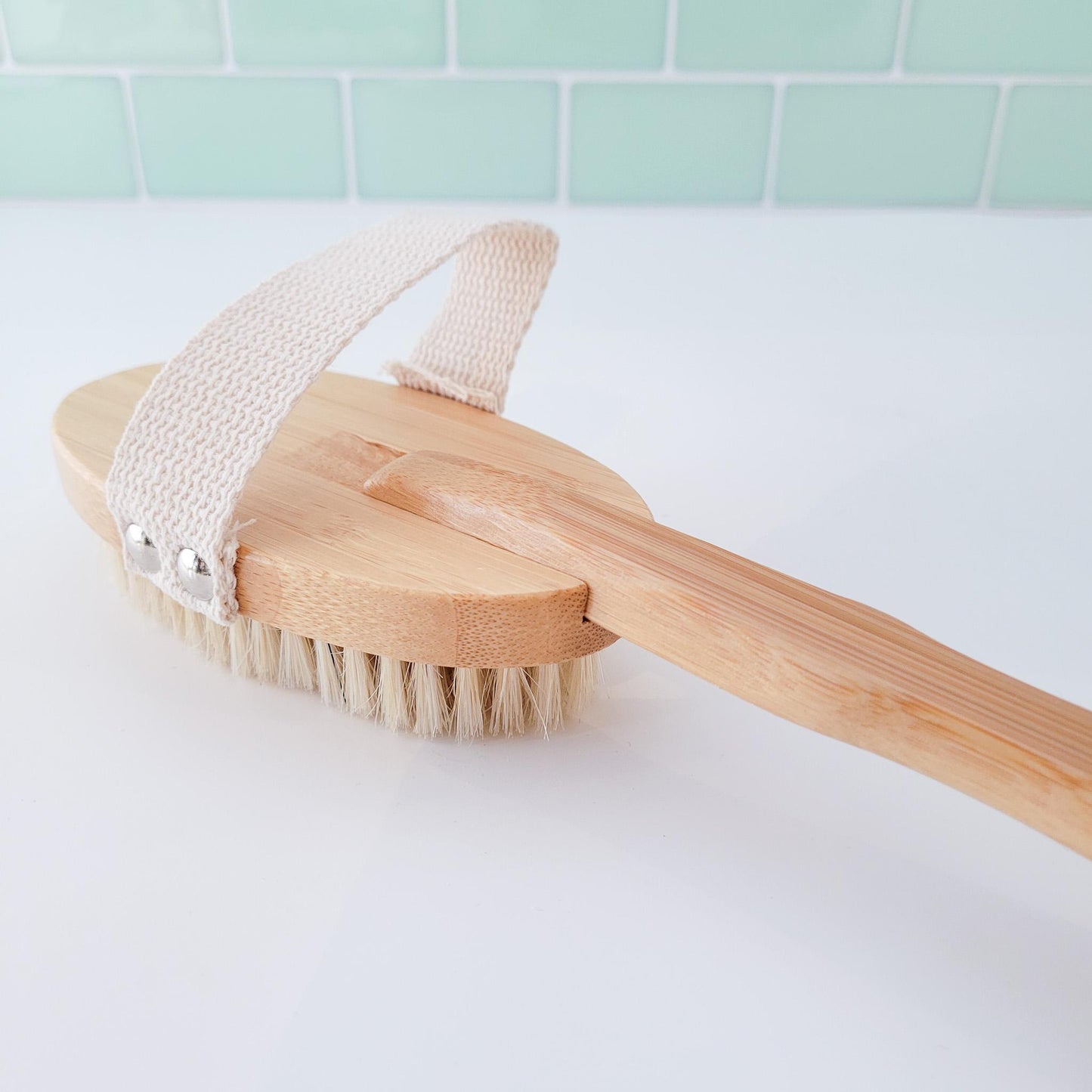 Dry/Wet Long Handle Body Brush
