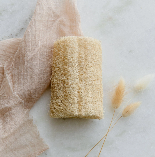 Loofah Sponge - Flat