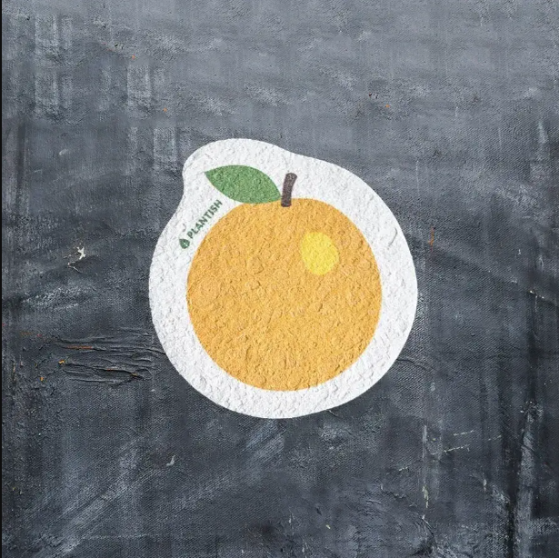 Plantish Pop Up Sponge